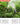 9789189079601_6
